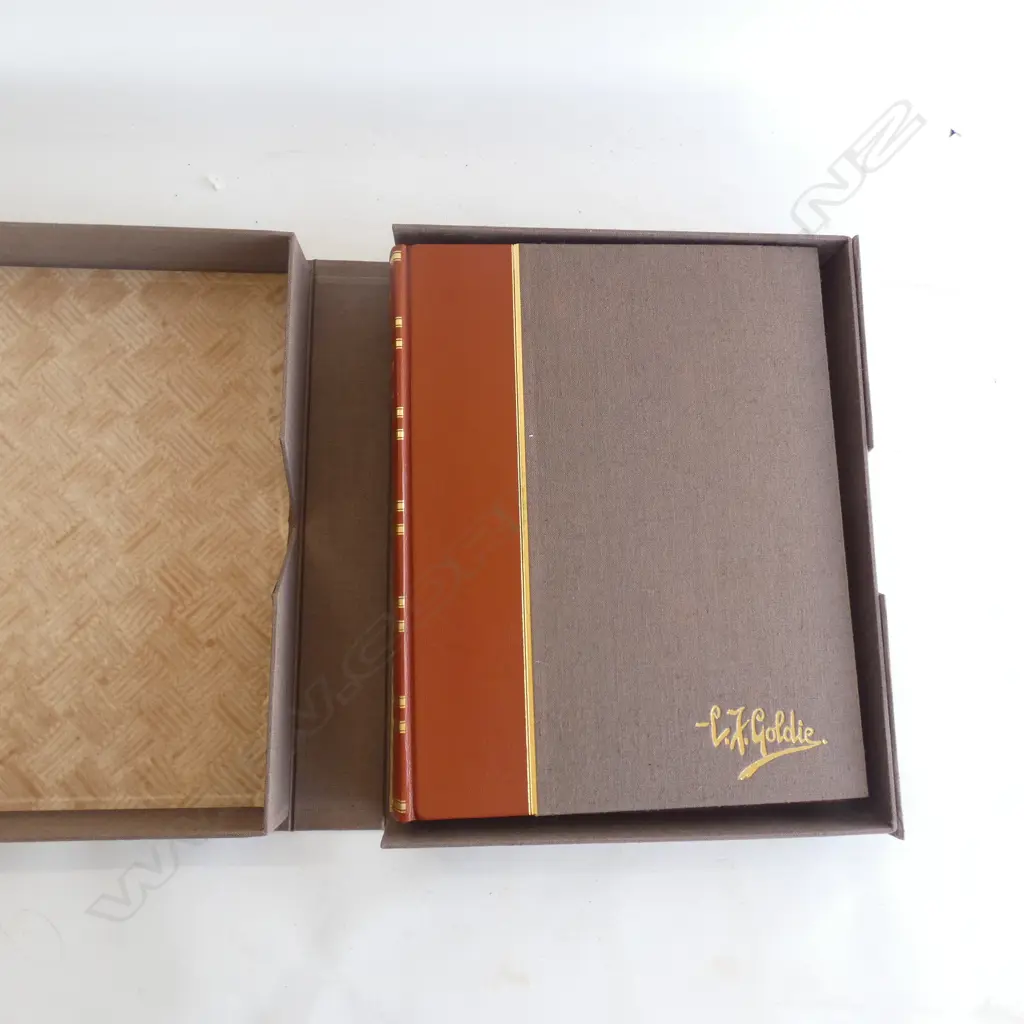 LG ILLUSTRATED BOOK 'C.F. GOLDIE - PRINTS DRAWINGS & CRITICISM Image 1++