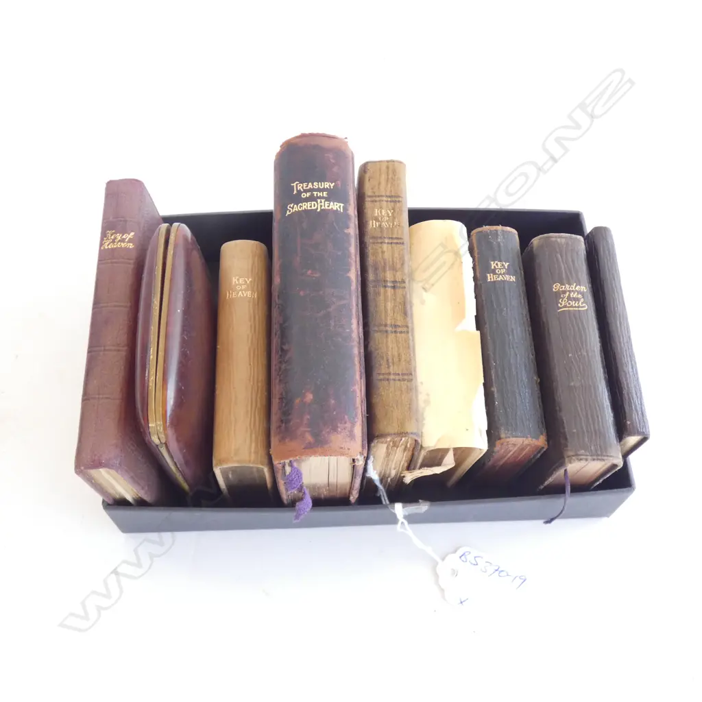 BOX OF SMALL OLD LEATHER BOOKS Image 1++