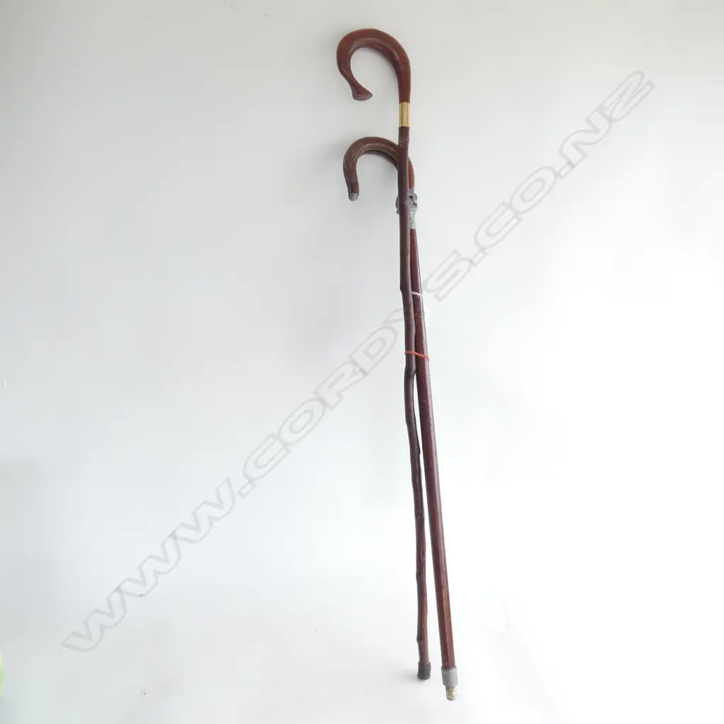 SHOOTING STICK & WALKING STICK Image 1++