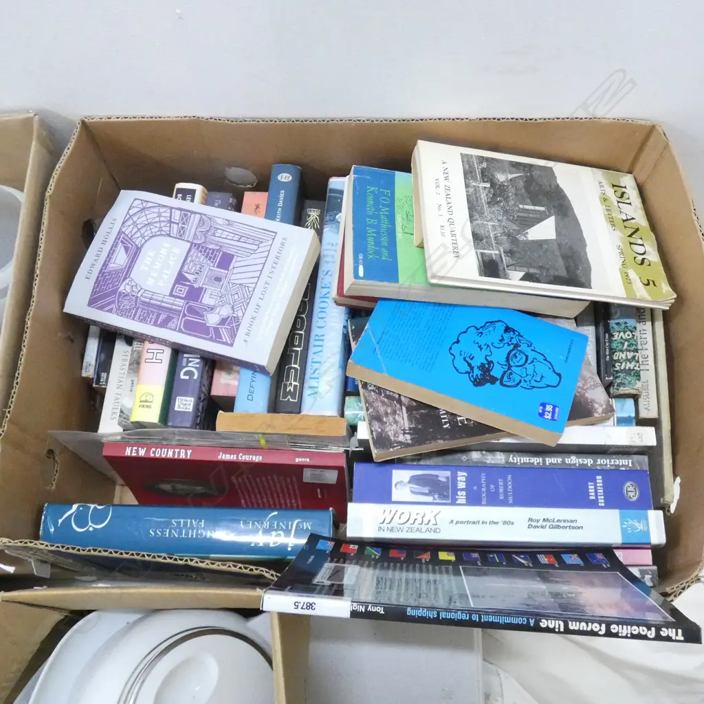 BOX LOT ASST. NOVELS; GAY INTEREST Image 1++