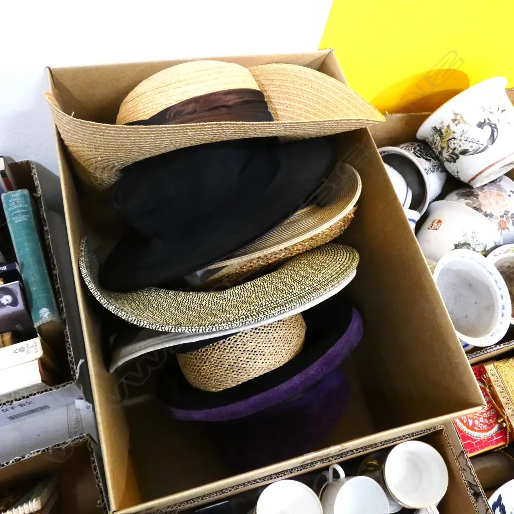 BOX LOT 7 ASST. HATS Image 1++