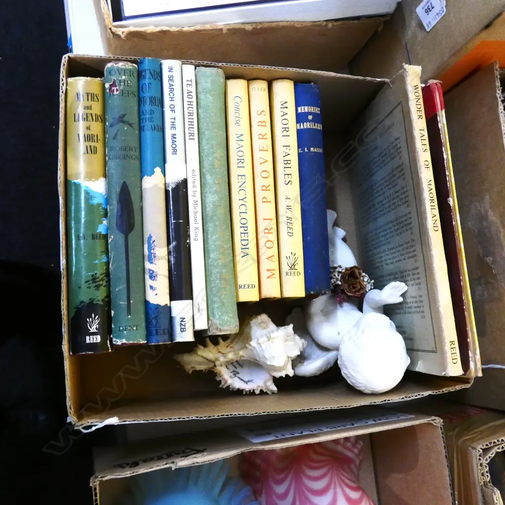 BOX LOT BOOKS; MAORI INTEREST + ETC Image 1++