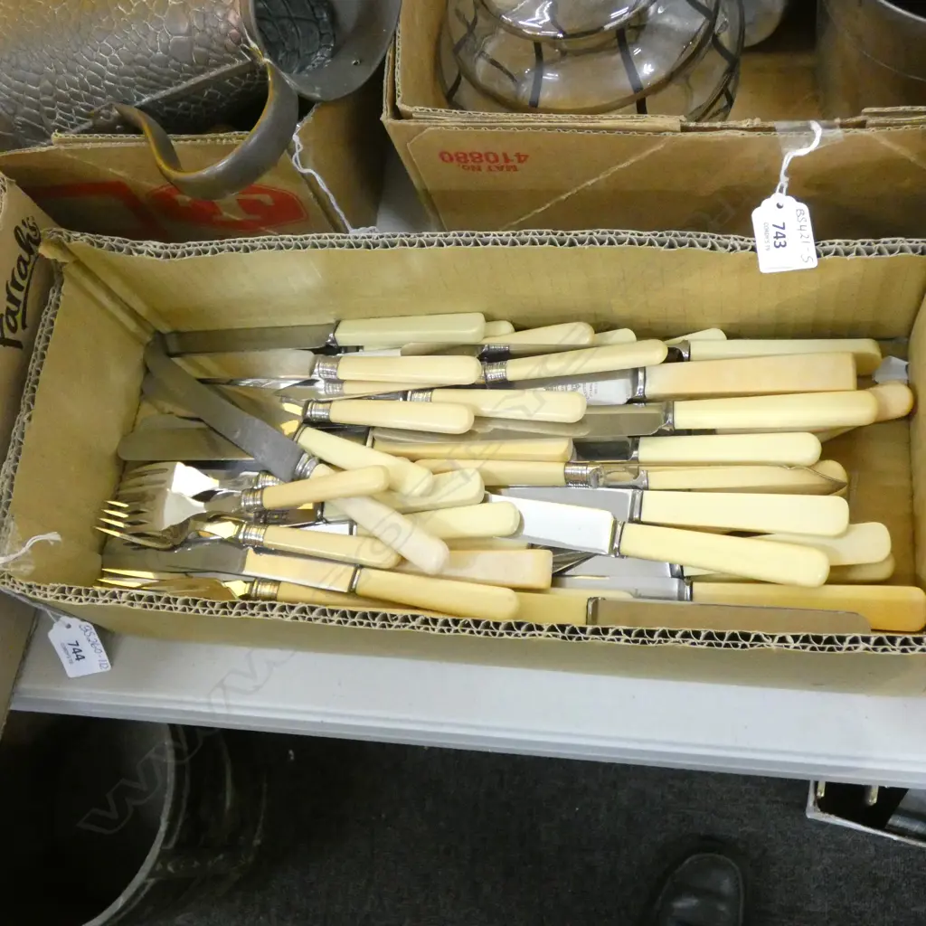 GOOD BOX LOT ASST BONE / FAUX BONE / CELLULOID HANDLE KNIVES & FISH KNIVES & FORKS  Image 1++