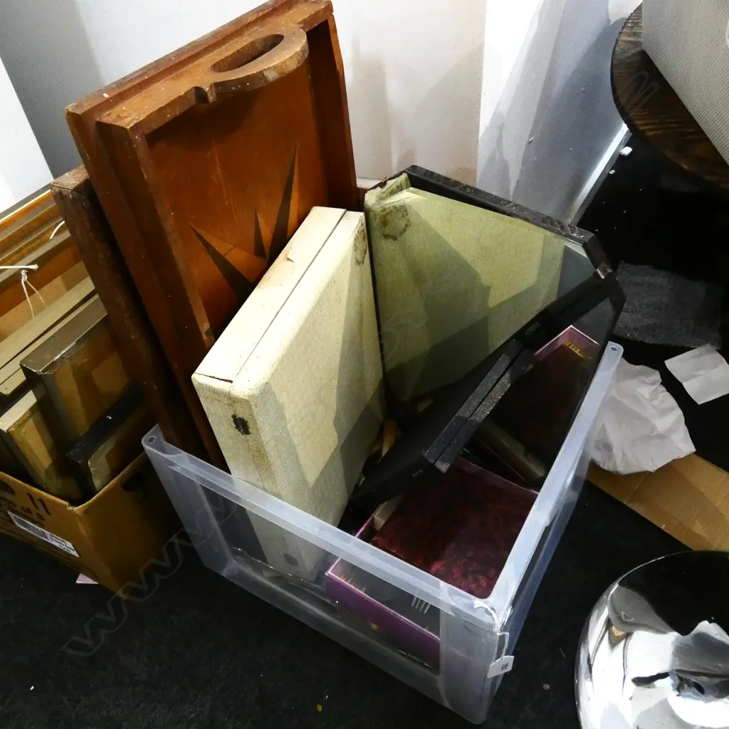 BOX LOT ASST. CUTLERY; 'BONE' HANDLES & TRAYS ETC Image 1++