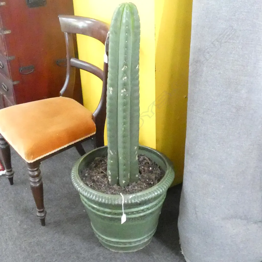 SAN PEDRO CACTUS IN GREEN GLAZED POT H.1000mm Image 1++