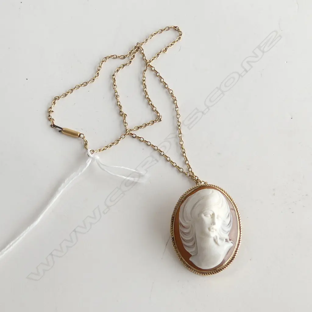 9CT GOLD FRAMED CAMEO PENDANT / BROOCH ON 9CT GOLD NECK CHAIN 12gms Image 1++