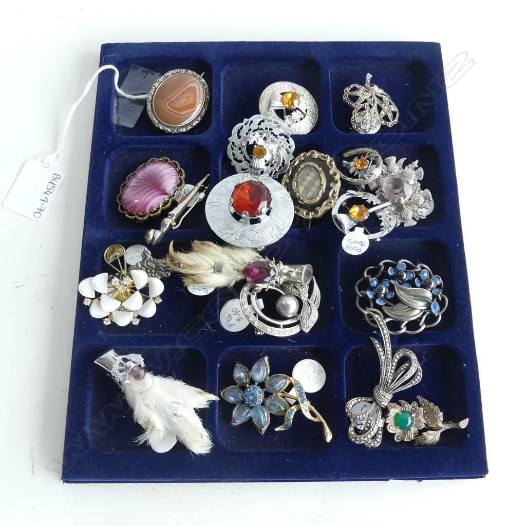 AN ASSMNT OF 20 BROOCHES SOME STERLING, MISPAH, MOURNING BROOCH, 2 x GROUSE CLAWS Image 1++