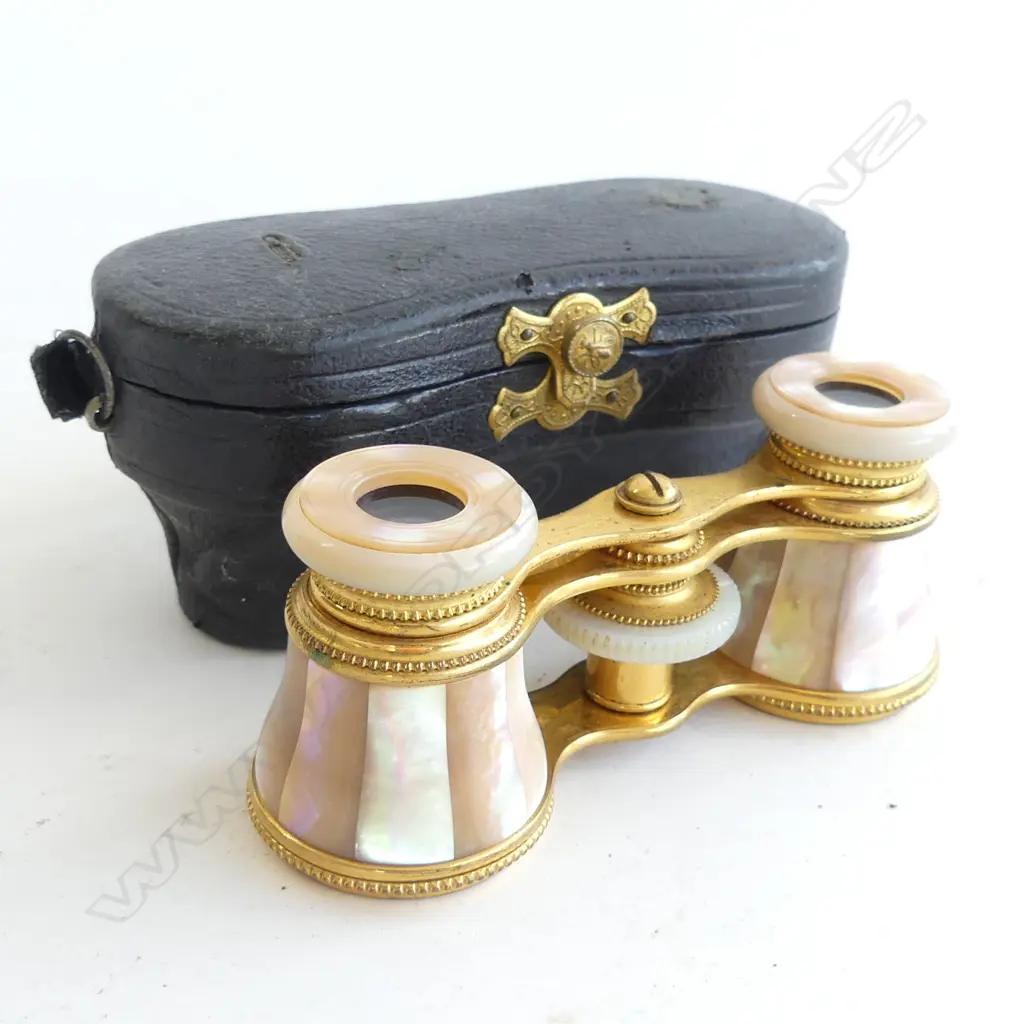 MOTHER OF PEARL OPERA GLASSES IN CASE Image 1++