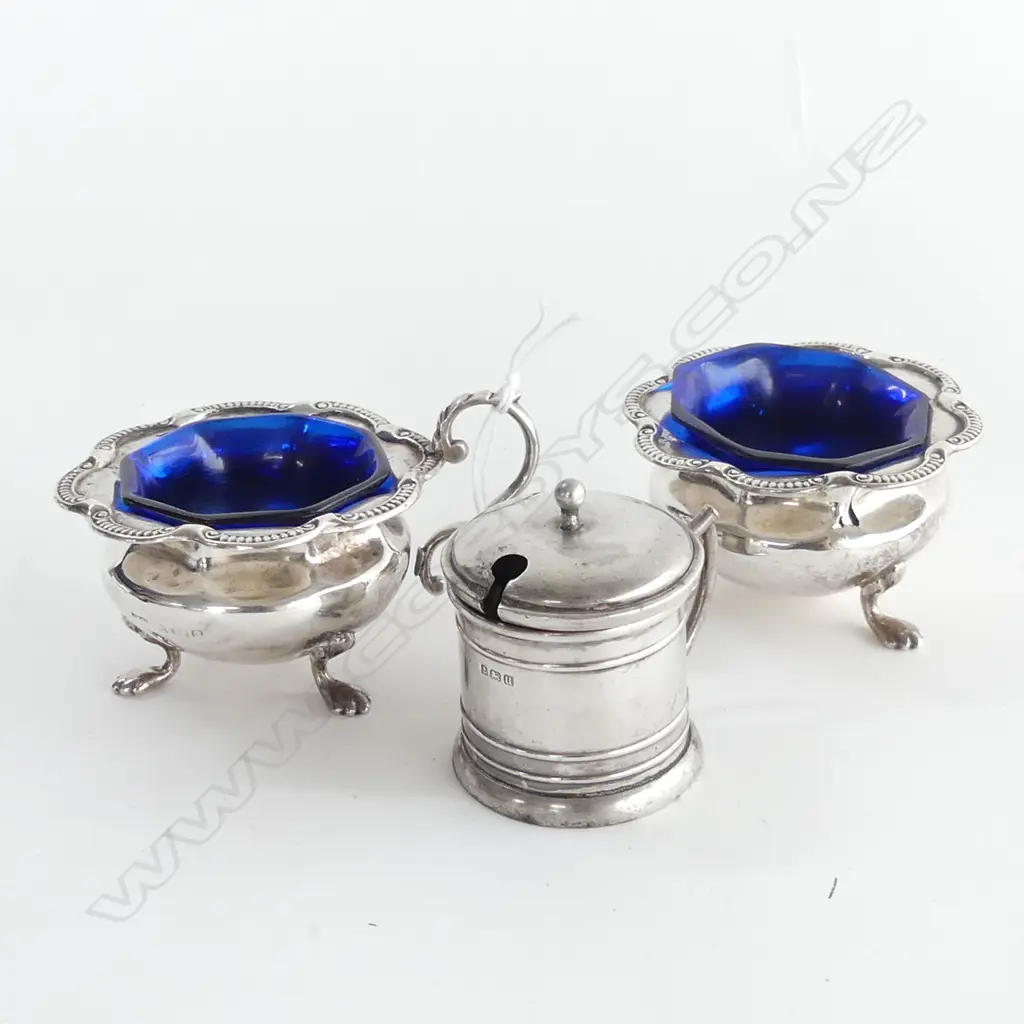 PR + 1 SILVER CONDIMENTS 134GMS W BLUE LINERS Image 1++