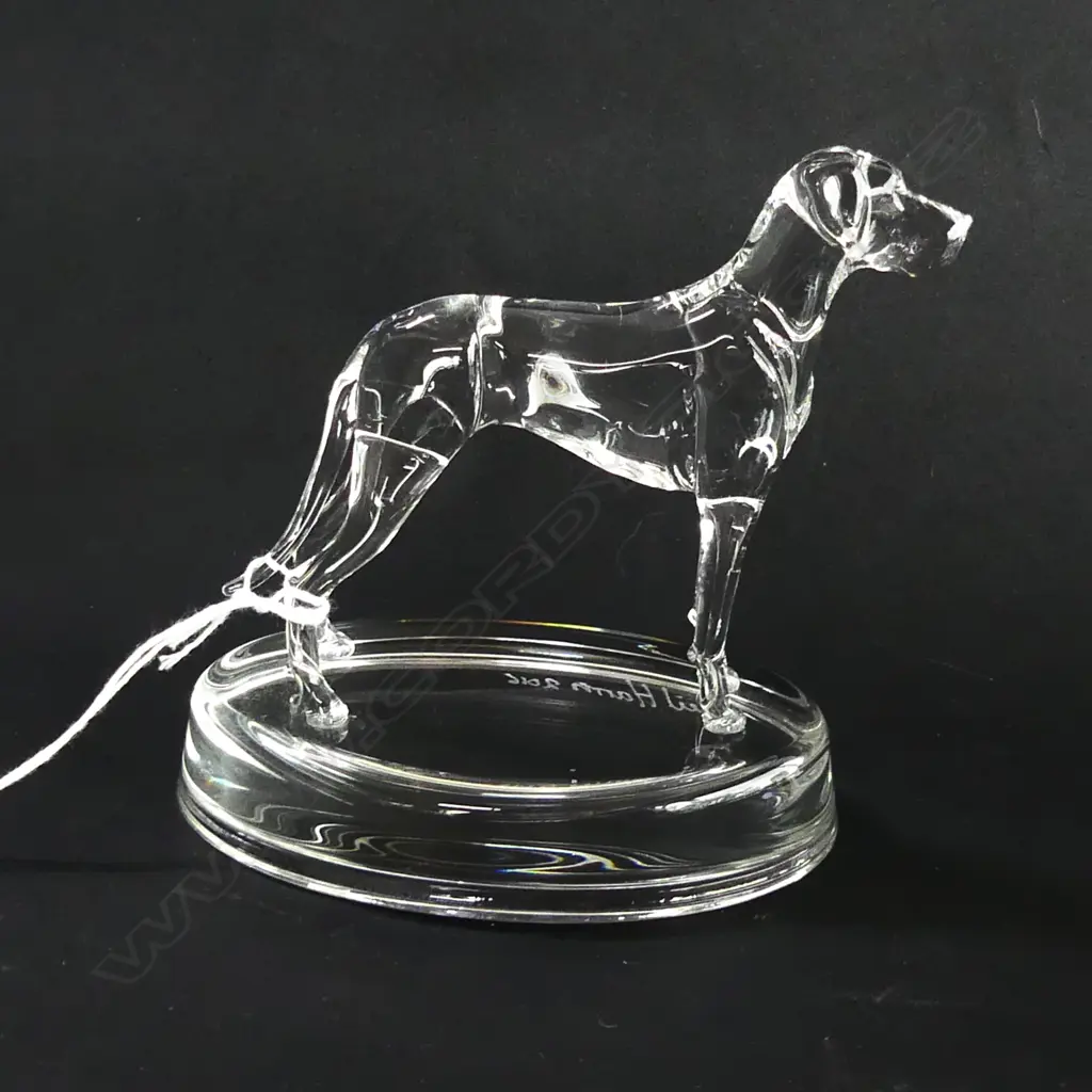 GREAT DANE GLASS STATUETTE - SIGNED & DATED 'NEIL HARRIS 2016' Image 1++