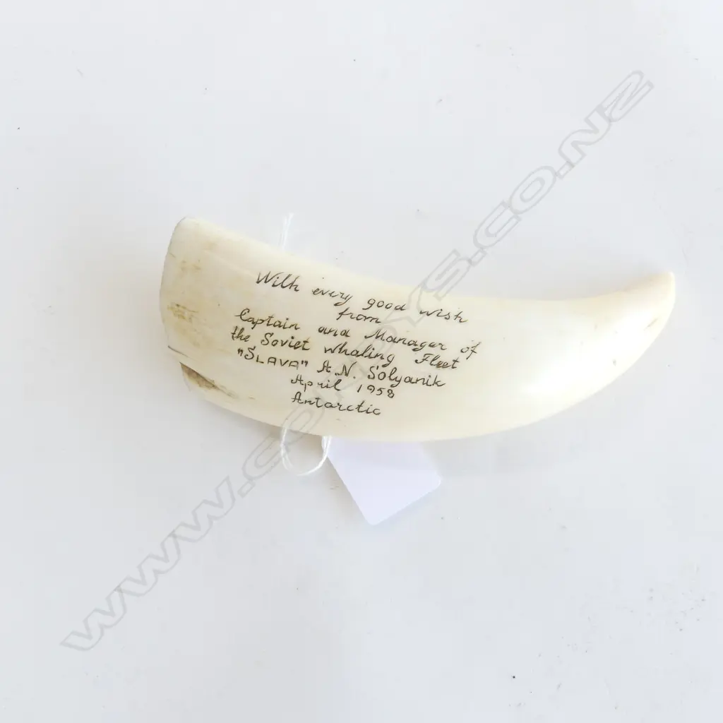 ENGRAVED SCRIMSHAW c.1958... Image 1++