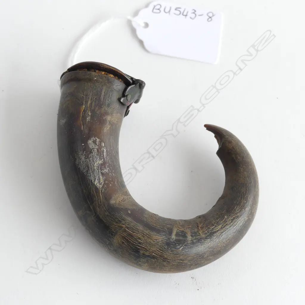 19TH CENT. CURLY HORN SNUFF BOX W. 80MM Image 1++