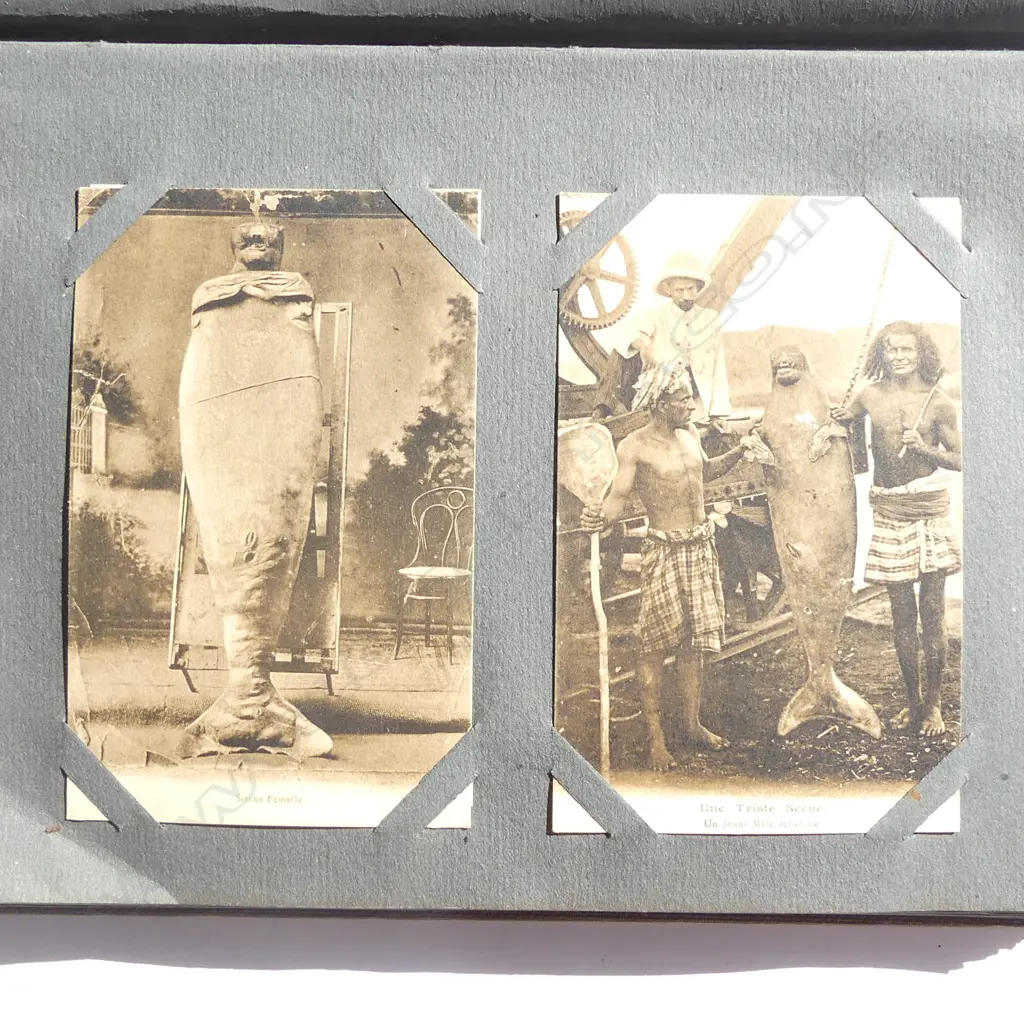 LARGE COLLECTION OF OLD POSTCARDS IN ALBUM FROM AROUND THE WORLD Image 1++
