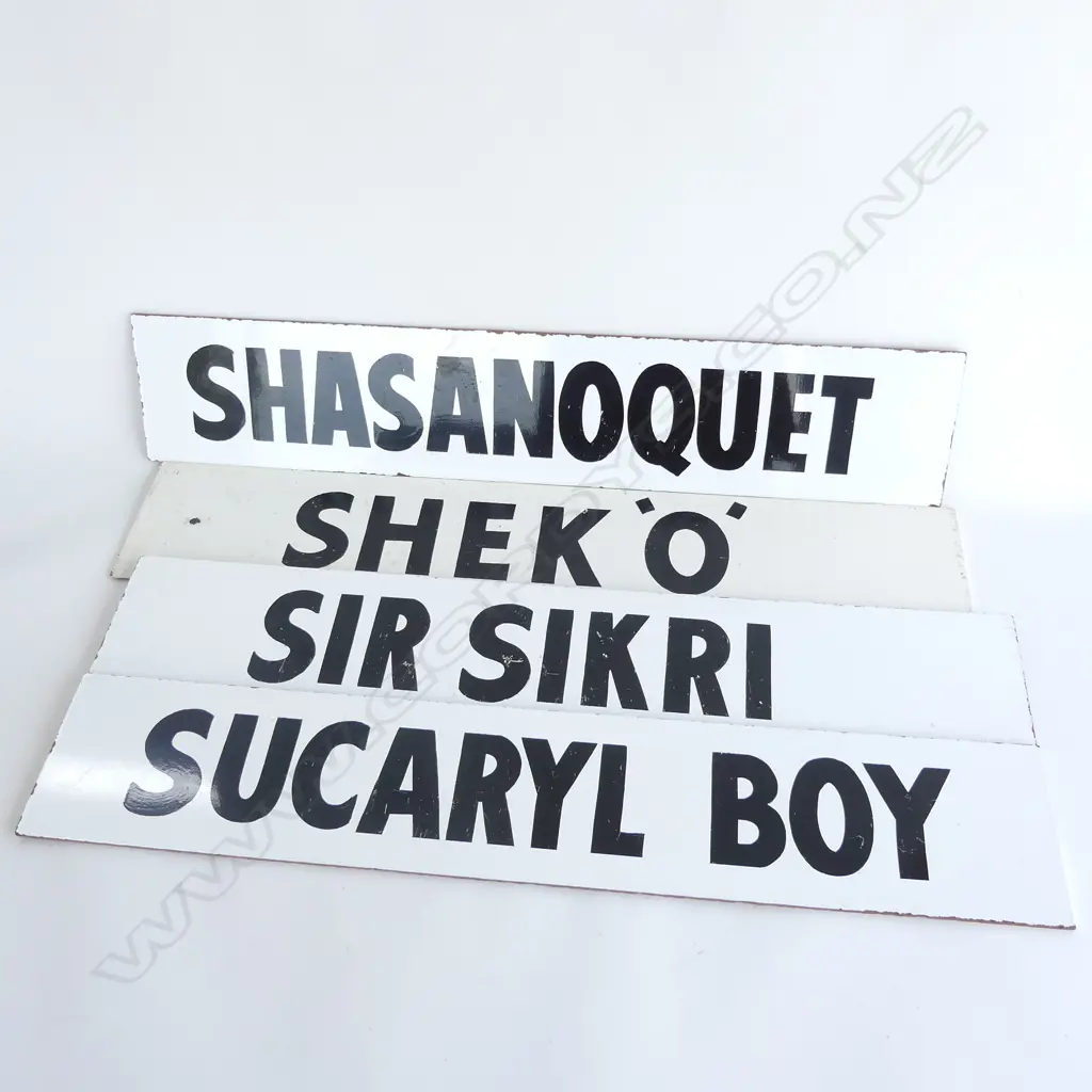 4 AVONDALE HORSE RACING TITLES; SHASANOQUET, SHEKO, SIR SIKRI & SUCARYL BOY 140x720mm Image 1++