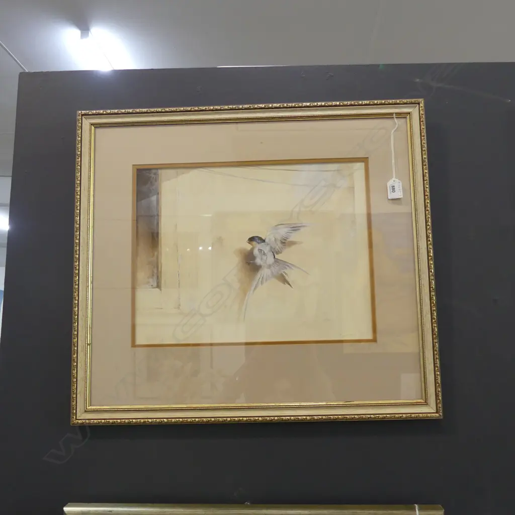 BRENT HARVEY, BIRD, WATERCOLOUR ON BOARD, SIGNED, 400 X 300MM Image 1++