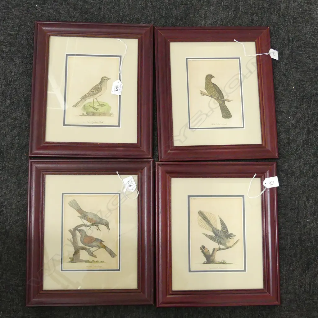 4 HAND COLOURED 18thC NZ BIRD ETCHINGS FROM JOHN LATHAMS BOOK 170x130mm... Image 1++