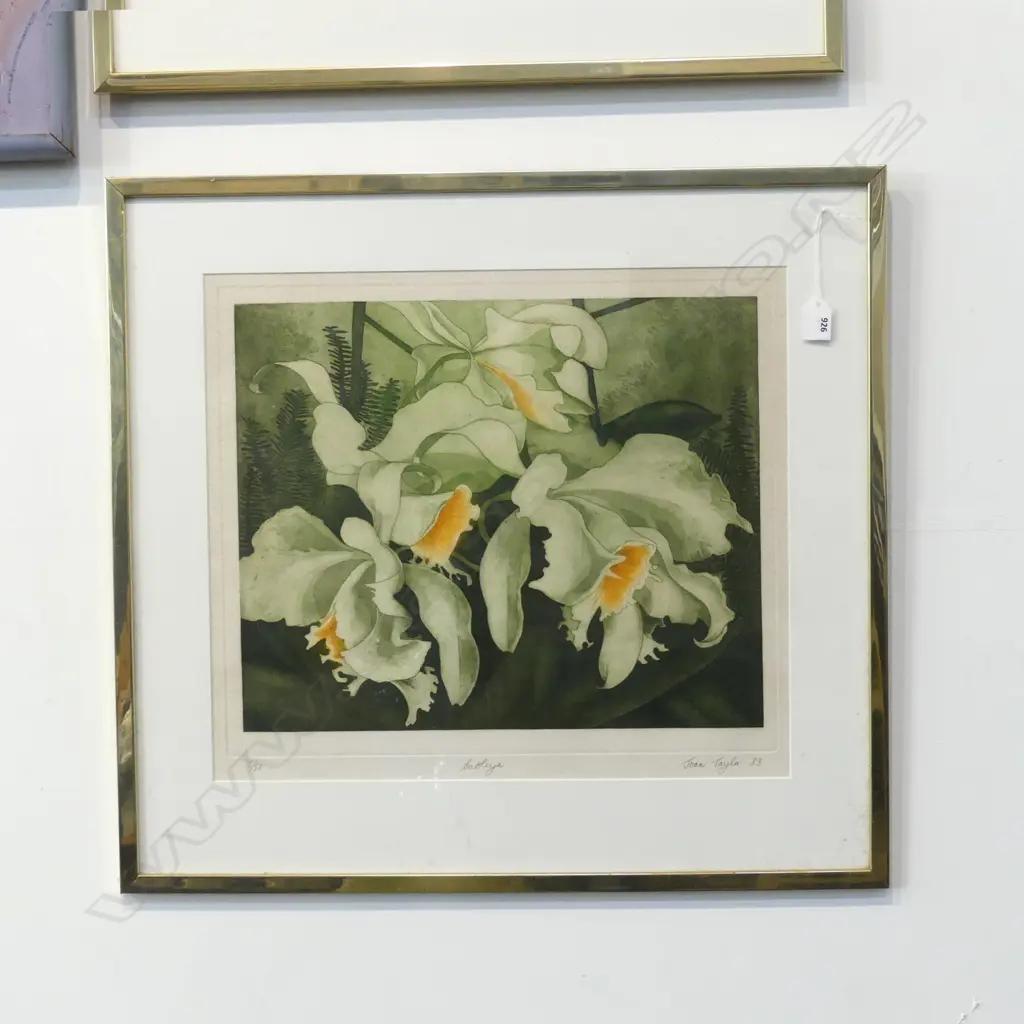 JOAN TAYLOR 'CATTLEYA' ETCHING 5/50 385x470mm Image 1++