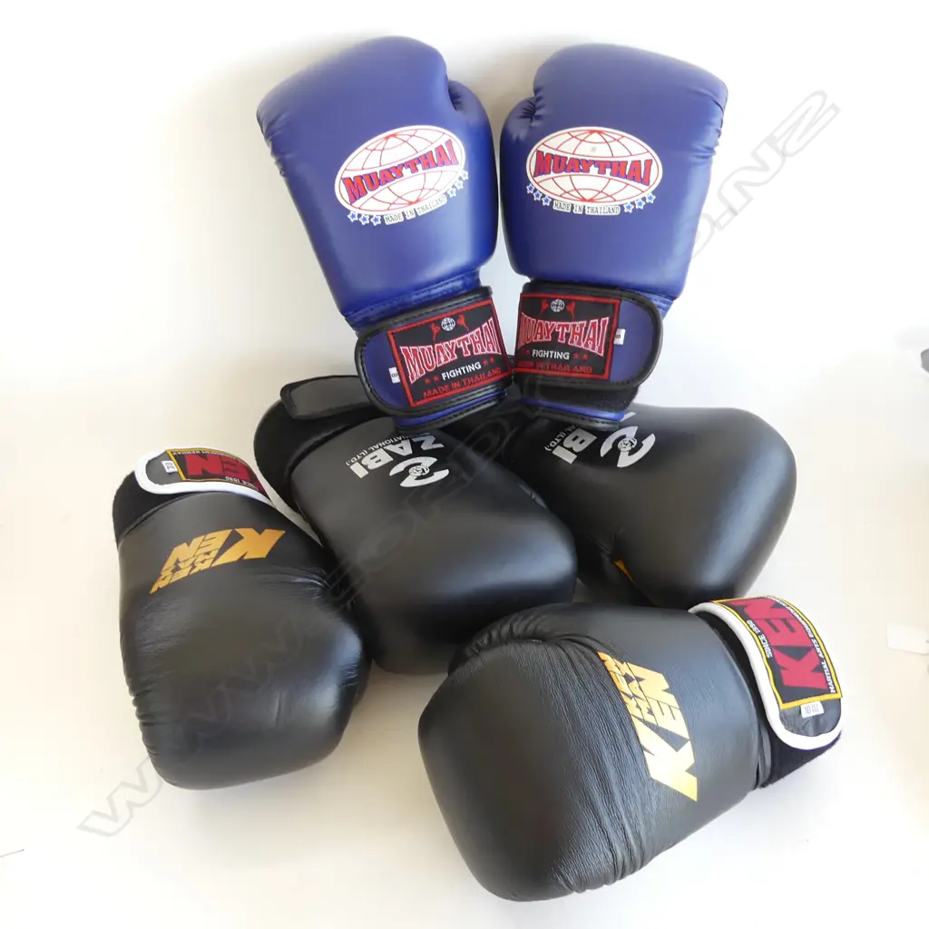 3 PAIRS (2 NEW) QUALITY BOXING GLOVES Image 1++