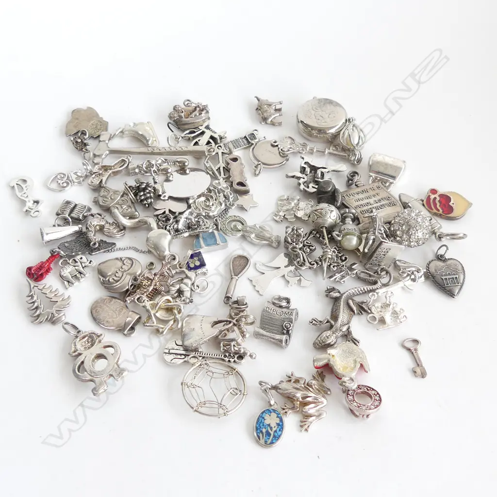 ASST. STG & SILVER METAL CHARMS 173 GRAMS Image 1++