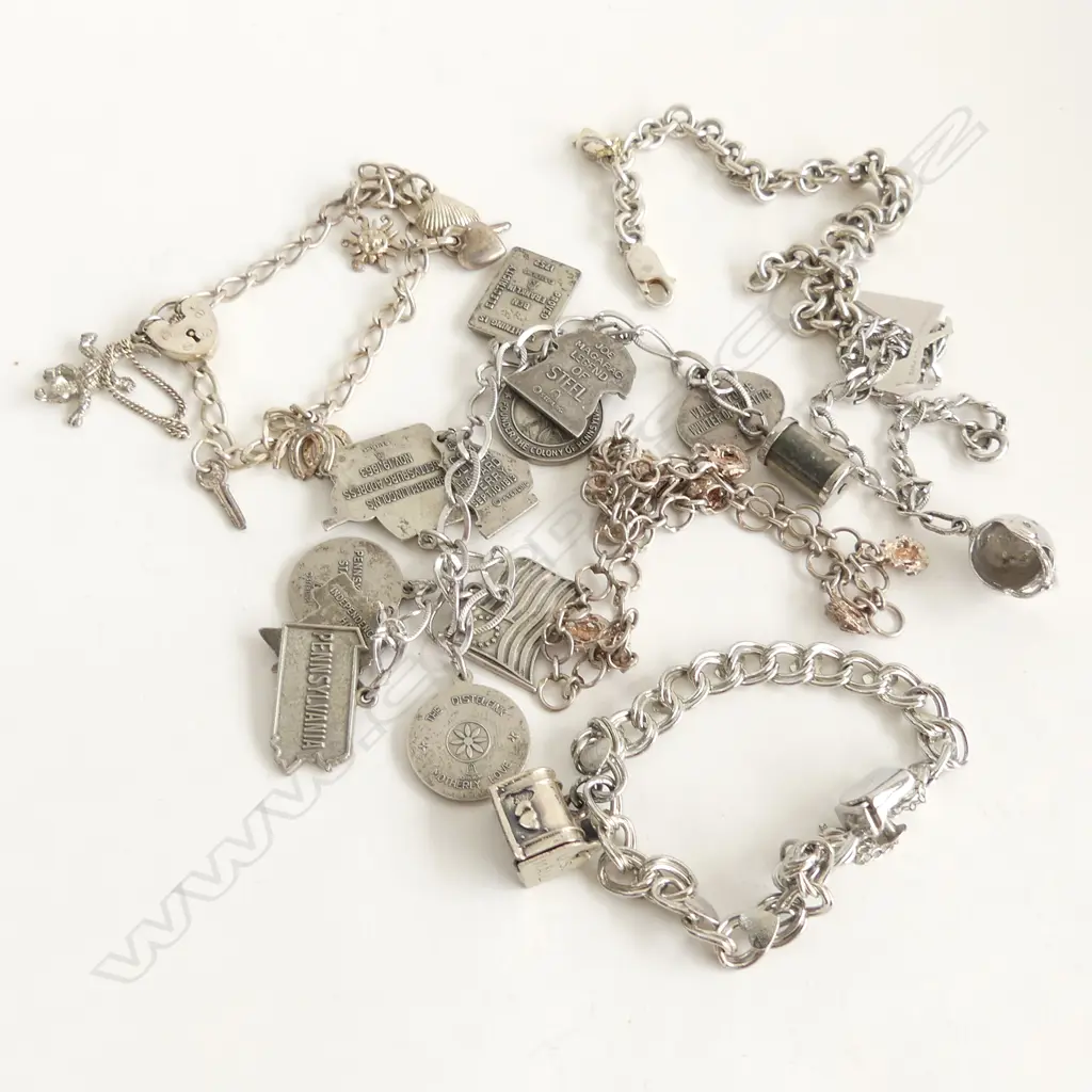 6 STG CHARM BRACELETS 99 GRAMS Image 1++