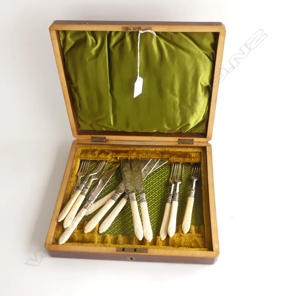 ANTIQUE 'BONE' IVORINE HANDLED FRUIT SET, CASED Image 1++