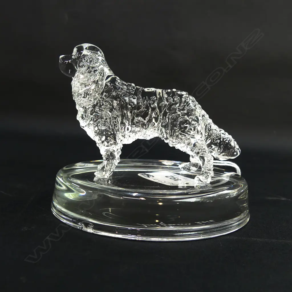 WATER SPANIEL GLASS STATUETTE - SIGNED & DATED 'NEIL HARRIS 2017' Image 1++