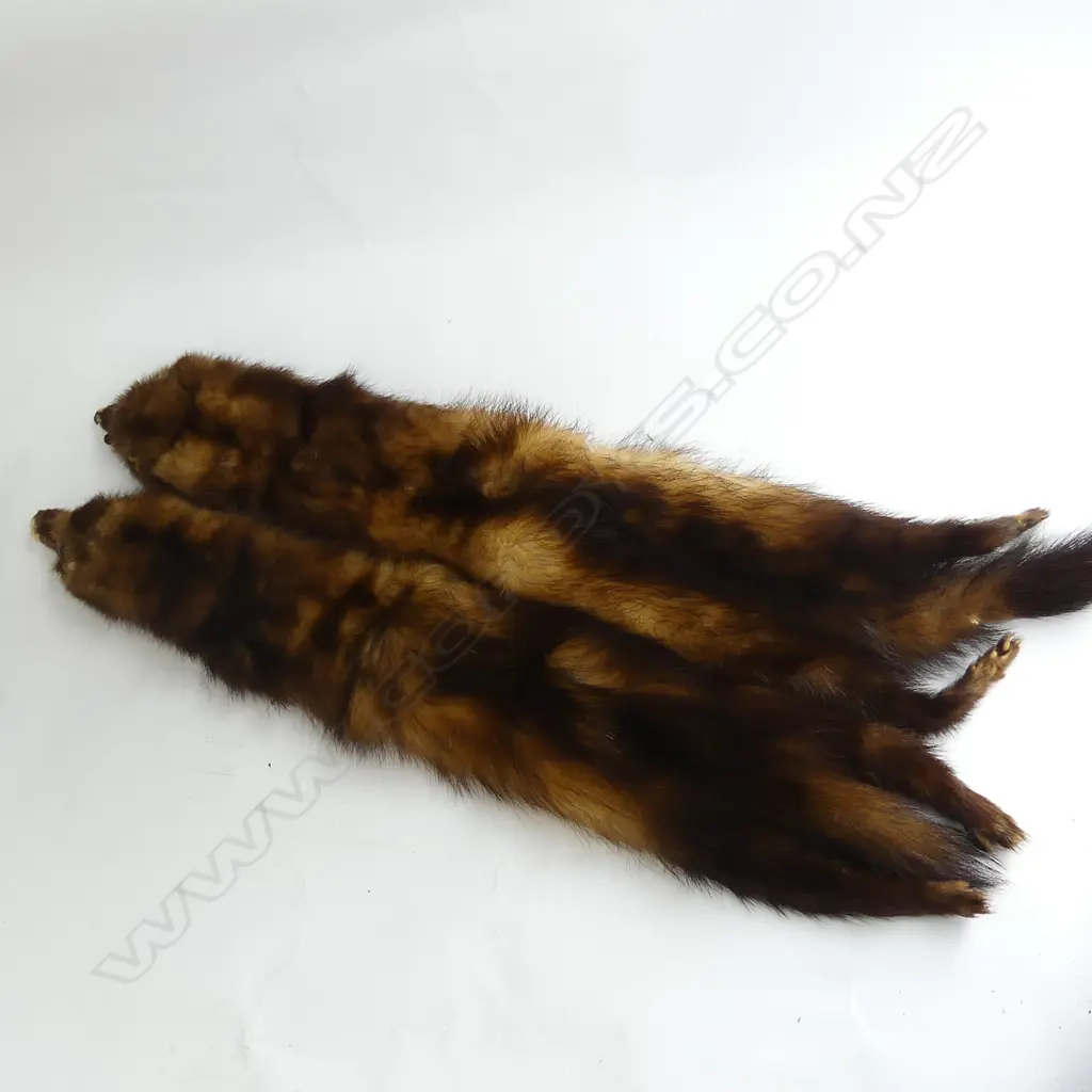 PR STOAT FURS - COLLARS? Image 1++