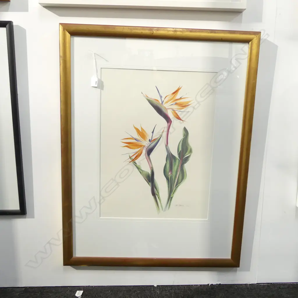 JAN BECK BIRD OF PARADISE PRINT 18/100 550x410mm Image 1++