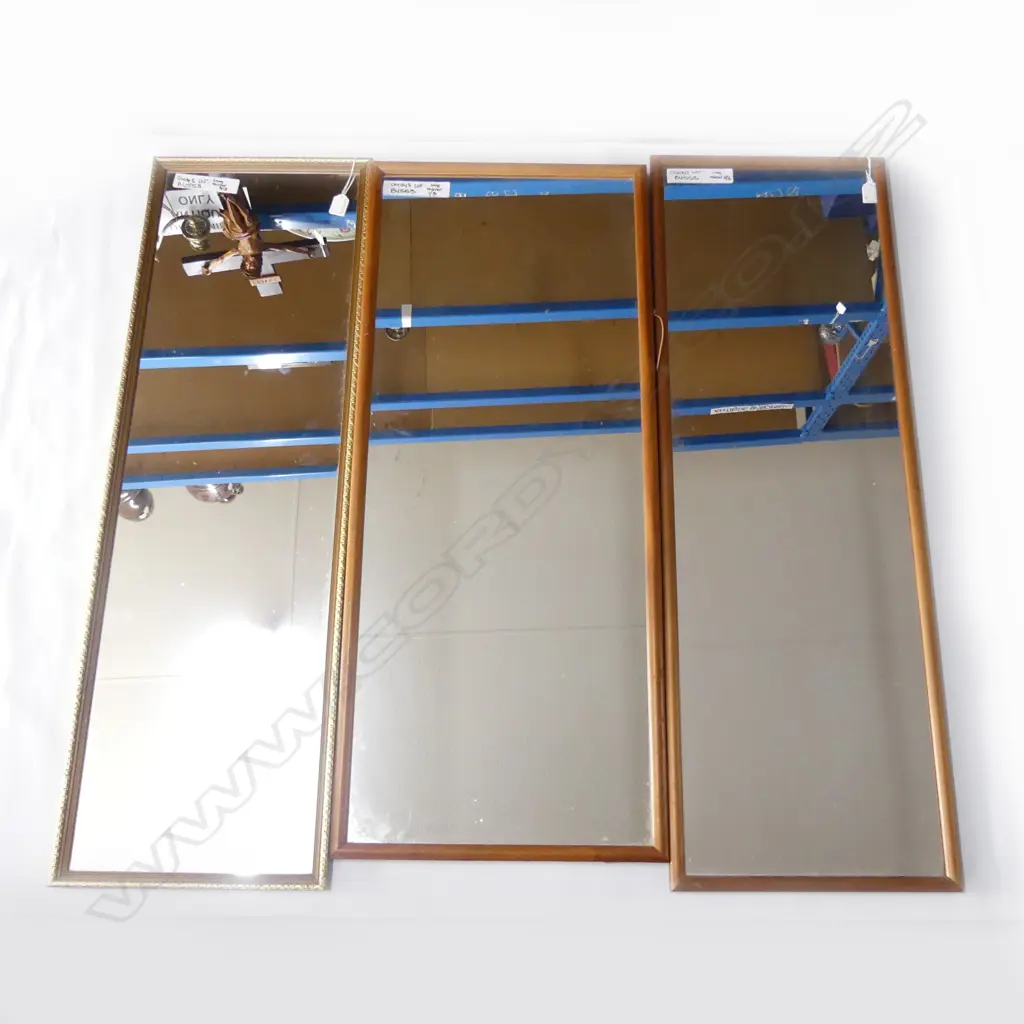3 DRESSING MIRRORS 1100x370mm Image 1++