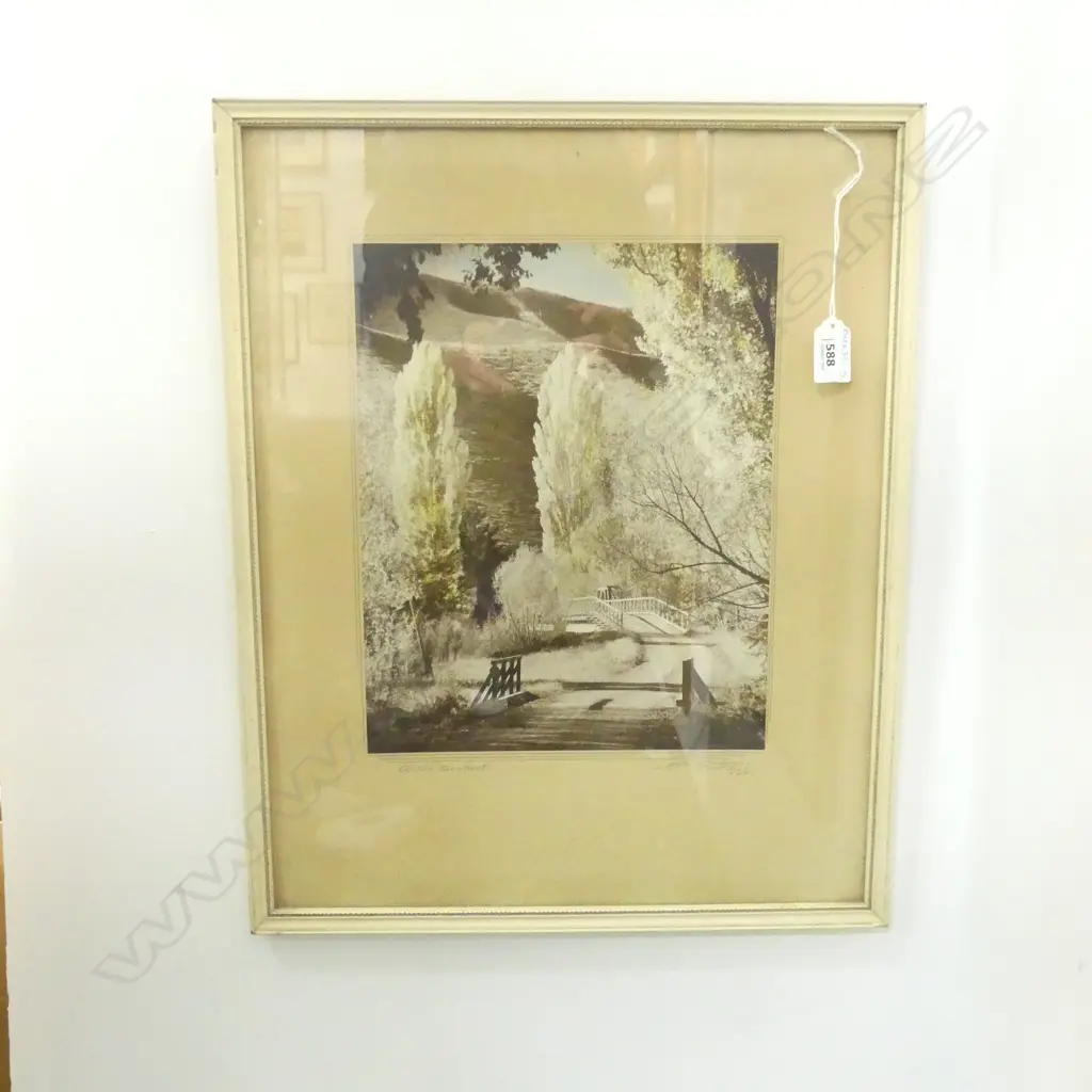 ELLIS DUDGEON PHOTO, GOLDEN SENTINELS, SIGNED C1933  235 X 300MM ... Image 1++