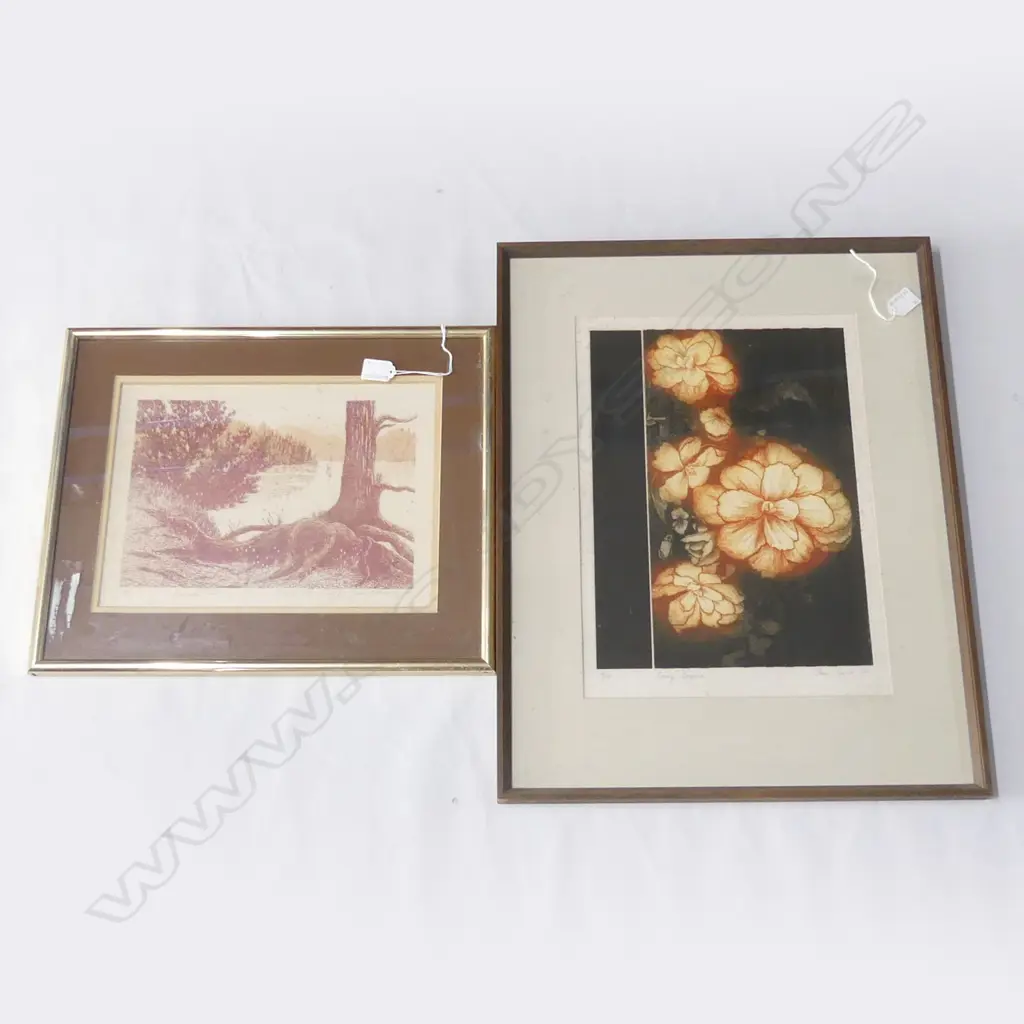2 ETCHINGS; JANET BOTHNER-BY 'TAIRUA ESTUARY FROM ROYAL BILLY POINT' 9/11 & JOAN TAYLOR 'ORANGE BEGONIA' 16/50 380x275mm Image 1++