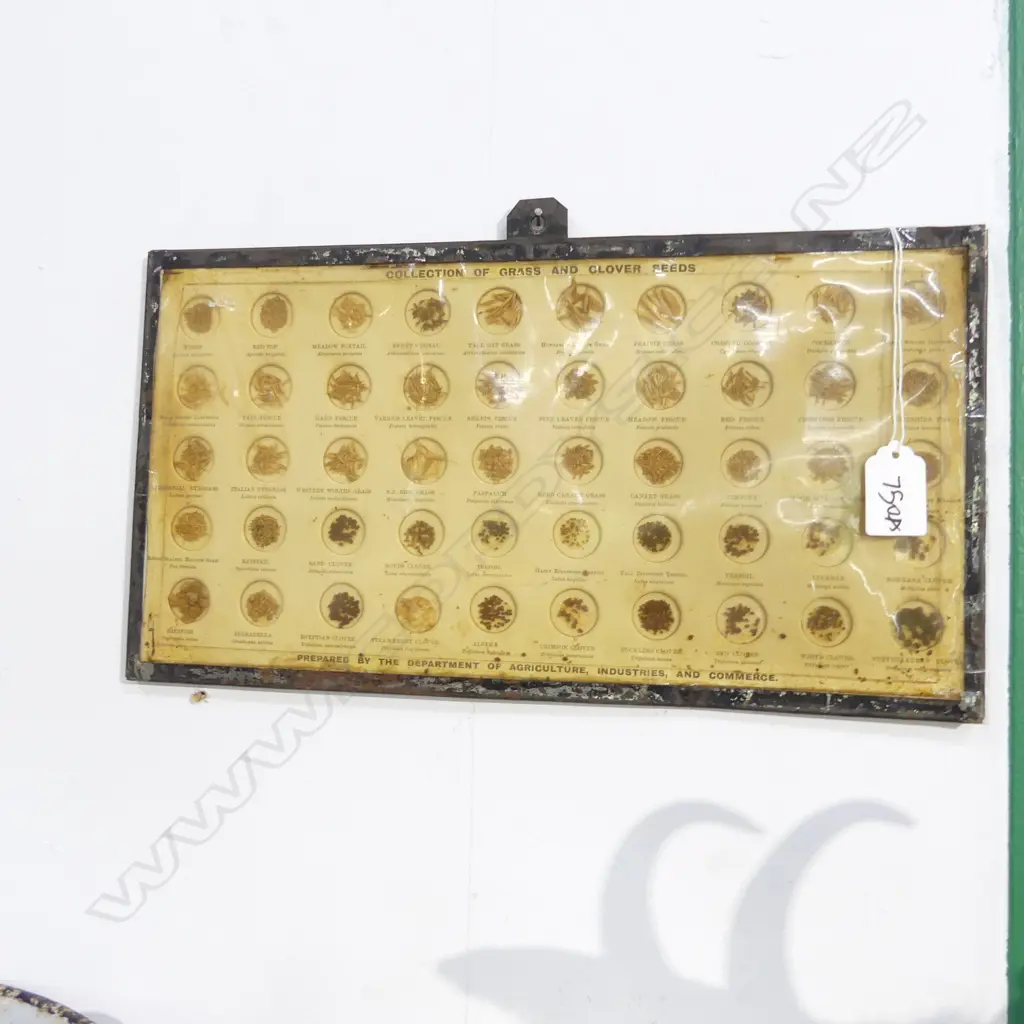 FRAMED VINTAGE COLLECTION 'GRASS & CLOVER SEEDS' BY DEPT AGRICULTURE INDUST. & COMMERCE 190 X 355MM Image 1++