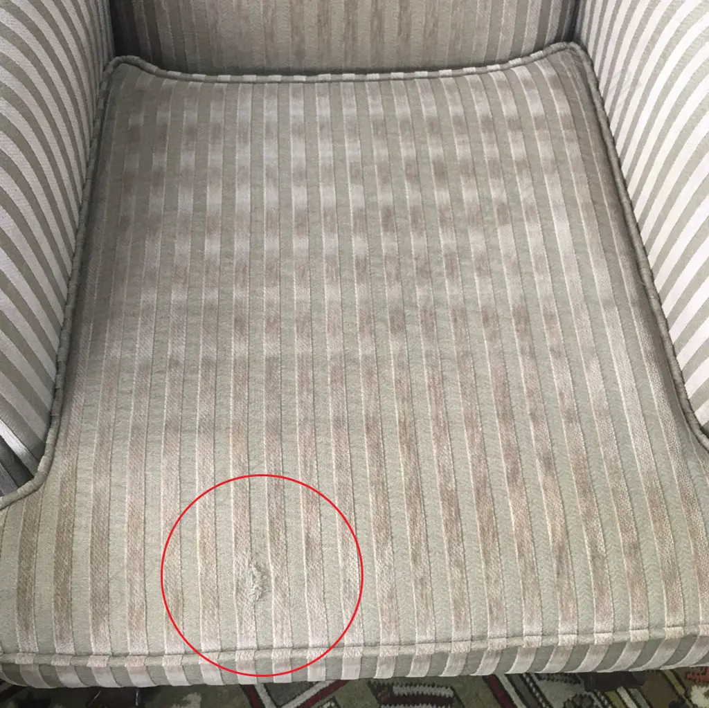 2 WING BACK ARMCHAIRS WITH BALL AND CLAW FEET Image 1++