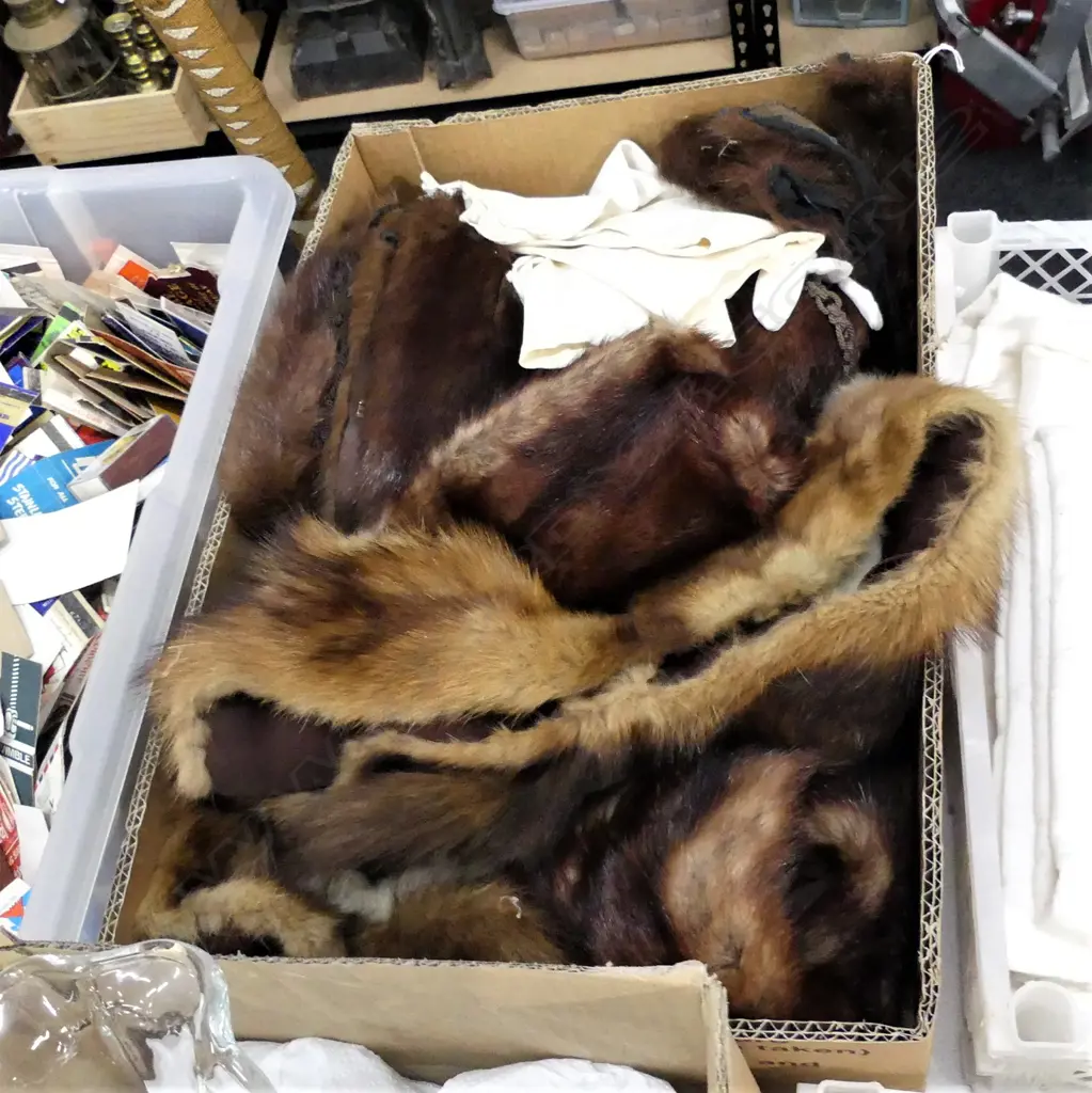 BOX LOT ASST. VINTAGE FURS; STOLES, HATS ETC Image 1++