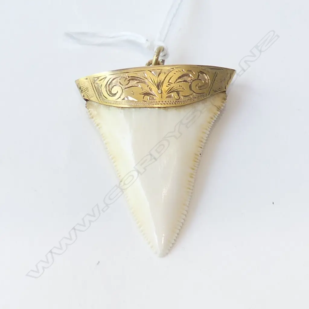 9CT GOLD MOUNTED SHARK TOOTH PENDANT H.45mm Image 1++