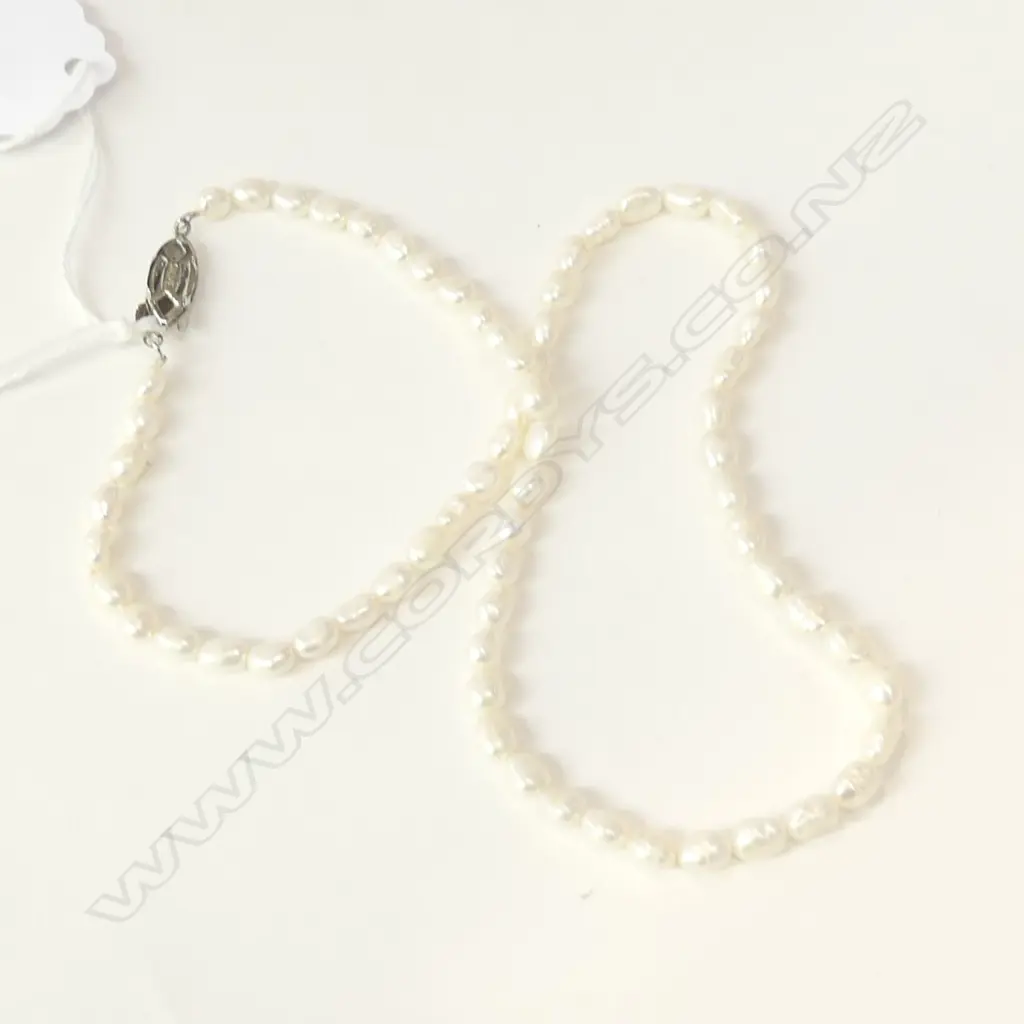 FRESHWATER PEARL NECKLACE WITH STG SILVER CLASP Image 1++
