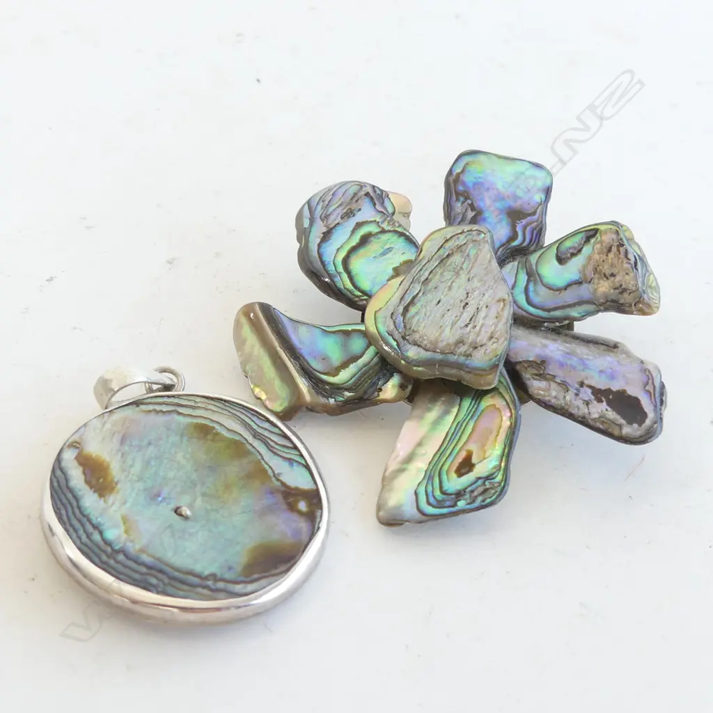 LG PAUA SHELL FLOWER SHAPED BROOCH & SILVER & PAUA SHELL PENDANT Image 1++