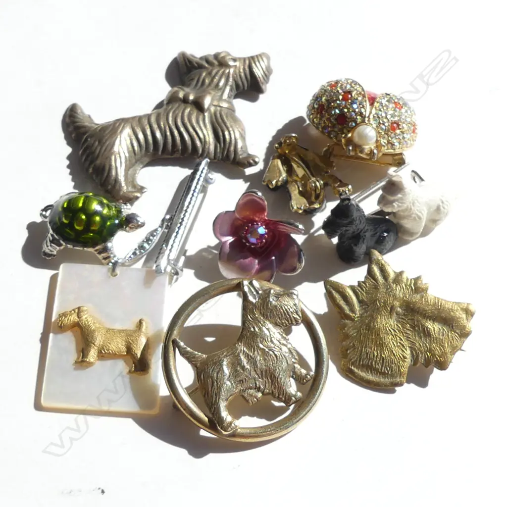 5 VINTAGE SCOTTIE DOG BROOCHES (1 MISSING PIN) + FROG, LADYBIRD & FLOWER BROOCH & TURTLE PENDANT Image 1++