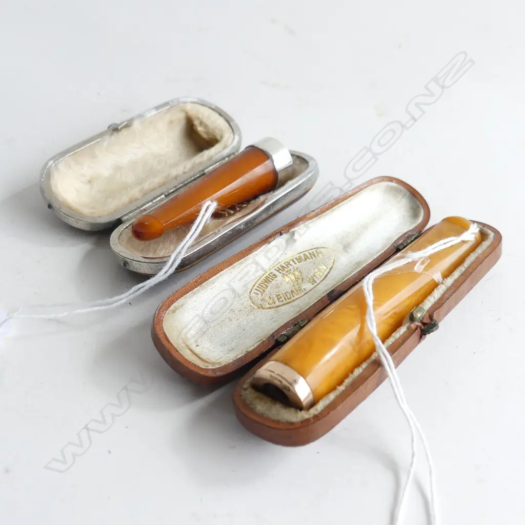 2 CASED AMBER CIGAR HOLDERS Image 1++