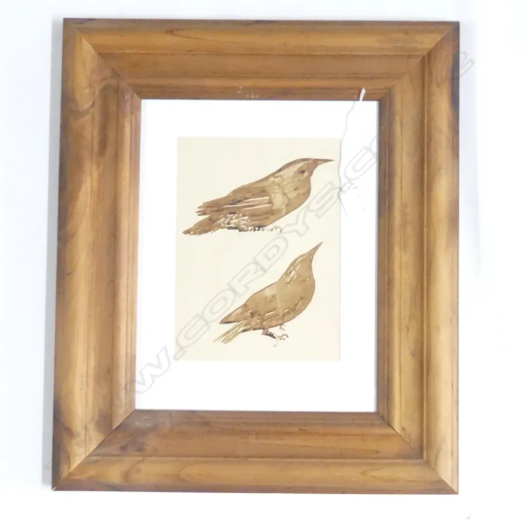 JOHN WEEKS 'THRUSHES' W/C 250x180mm Image 1++