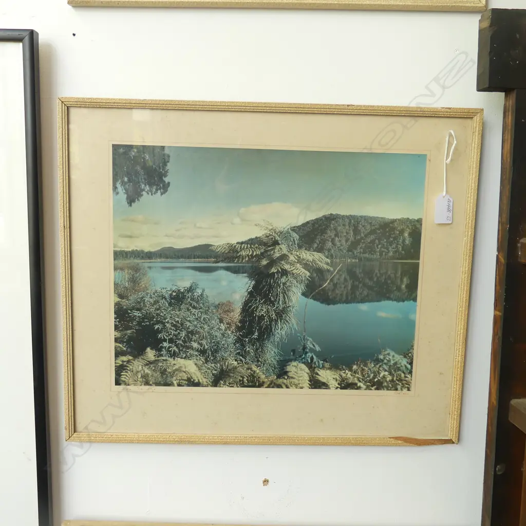 WHITES AVIATION VINTAGE PHOTO LAKE LANTHE HAND COLOURED Image 1++