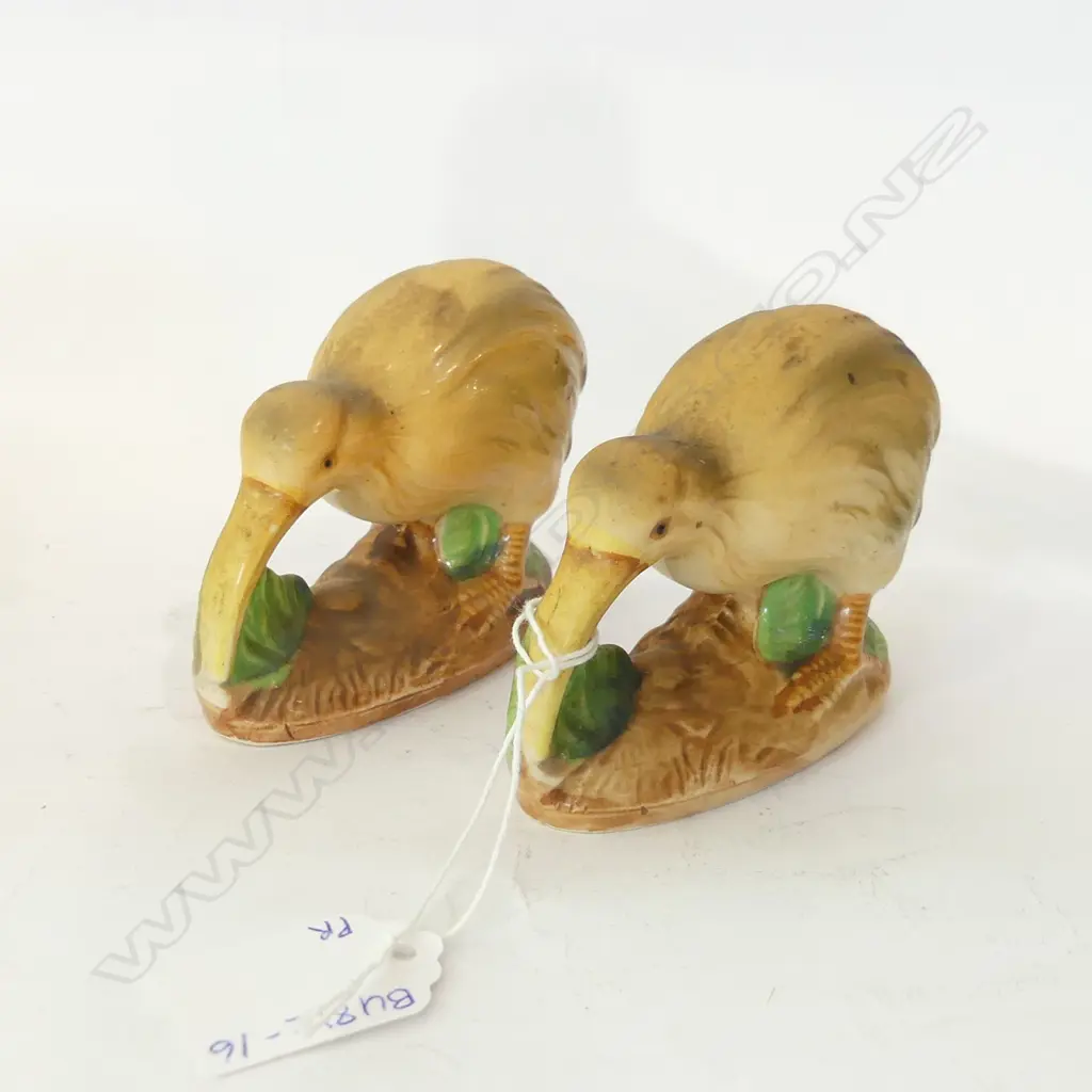 PR KIWI BIRDS L. 95MM Image 1++