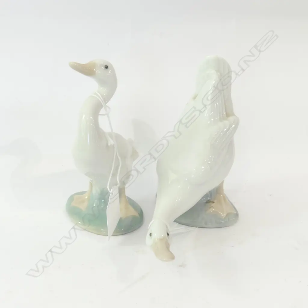 LLADRO GOOSE (H. 120MM) + NAO GOOSE L. 140MM Image 1++