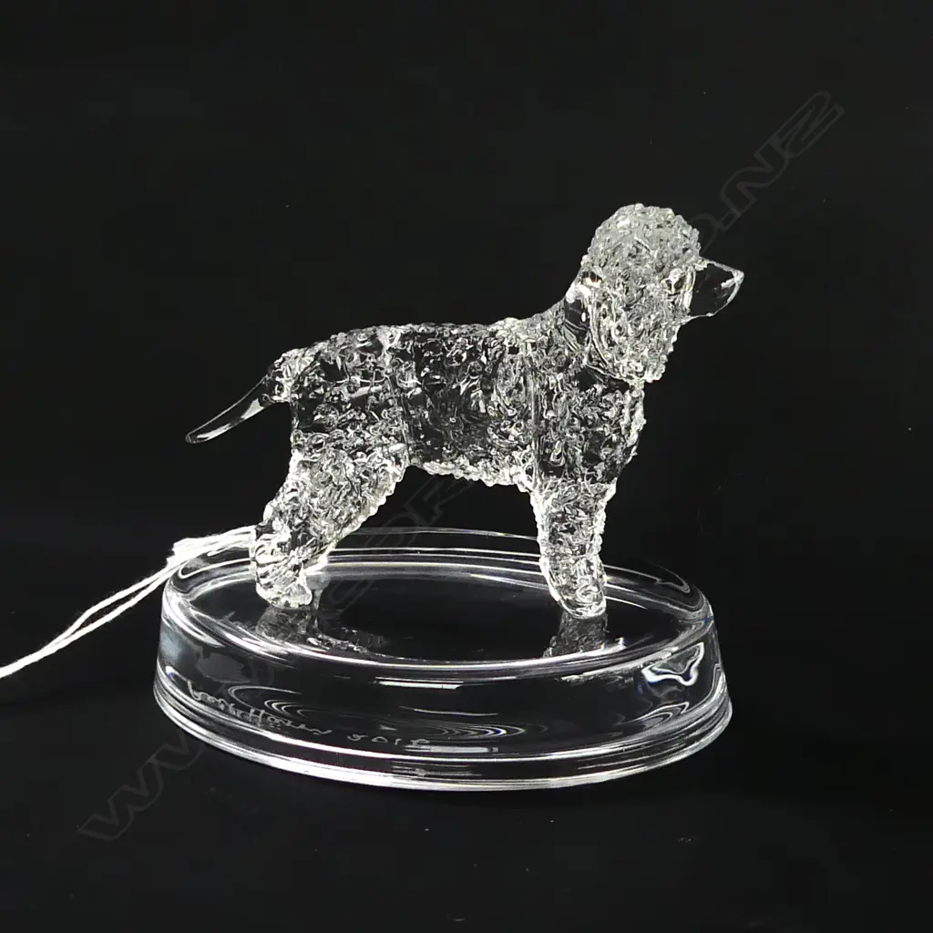 IRISH WATER SPANIEL GLASS STATUETTE - SIGNED & DATED 'NEIL HARRIS 2016' Image 1++
