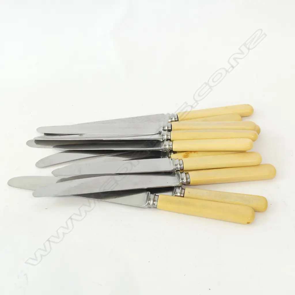 12 ASST BONE HANDLE KNIVES Image 1++