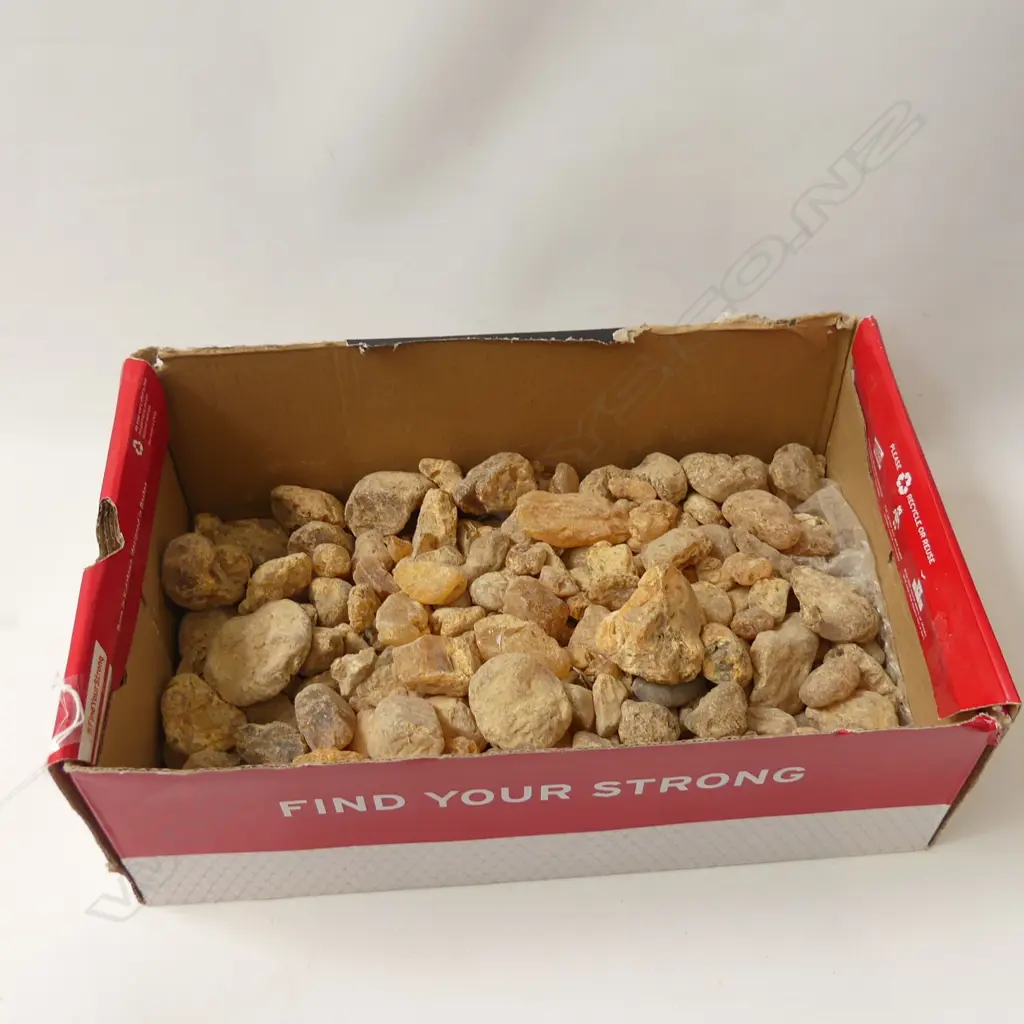 GOOD BOX LOT KAURI GUM NUGGETS Image 1++