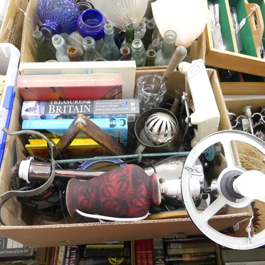 BOX LOT LAMPS, BOOKS, CERAMICS ETC Image 1++