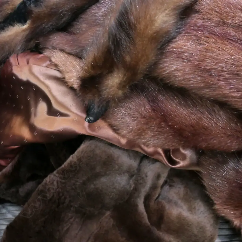 BOX LOT FUR COAT, 2 STOLES Image 1++