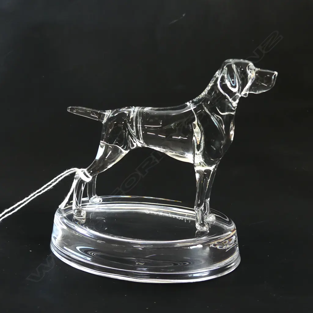 2 GLASS STATUETTES; JACK RUSSELL & GERMAN SHORTHAIRED POINTER - SIGNED & DATED 'NEIL HARRIS 2016' Image 1++