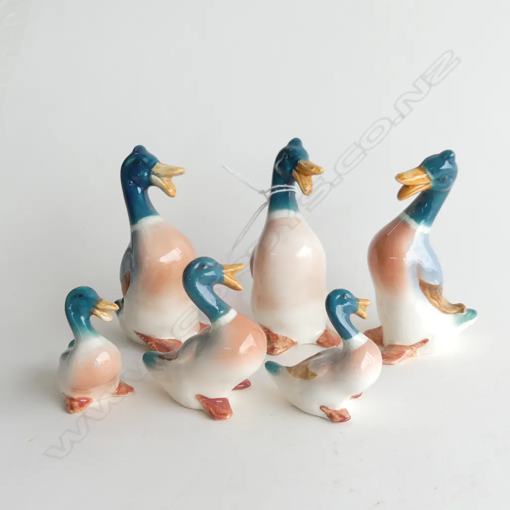6 ASST WADE DUCKS - TALLEST H.100mm Image 1++